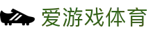AYX爱游戏APP官方下载平台 - 官方体育应用入口